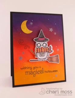 Winter Owl -Craftora Sale Store 10365312215 f832677e83 z 1