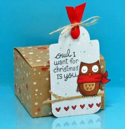 Winter Owl -Craftora Sale Store 8095646501 f98bbe8f03 z 1