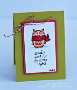 Winter Owl -Craftora Sale Store 8095649560 3efa33c492 z 1