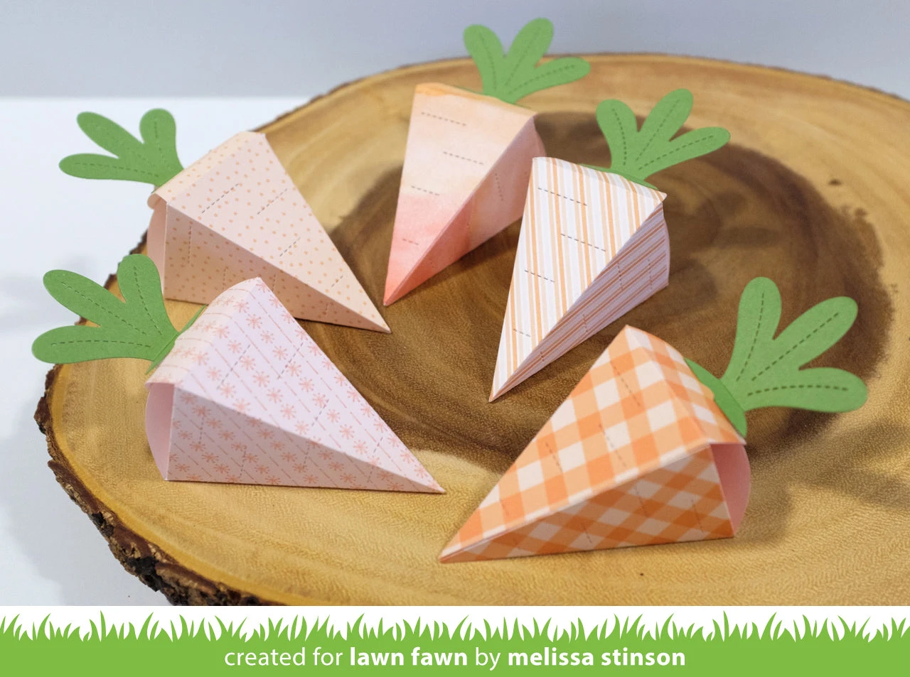 Carrot Treat Box 12 Carrot Treat Box - Image 12