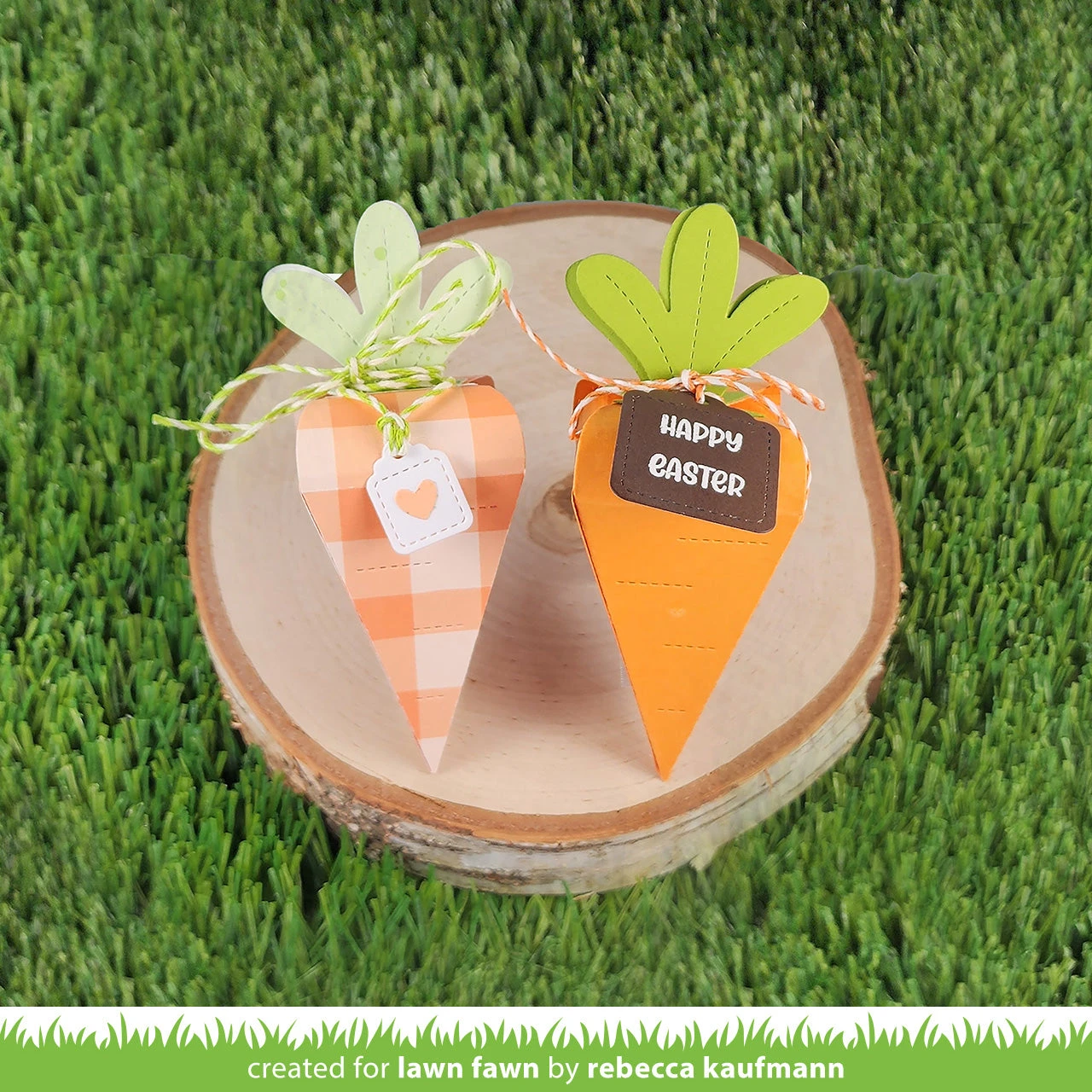 Carrot Treat Box 5 Carrot Treat Box - Image 5