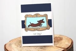 Critters At The Dog Park 15 Critters At The Dog Park -Craftora Sale Store elena20130424 12